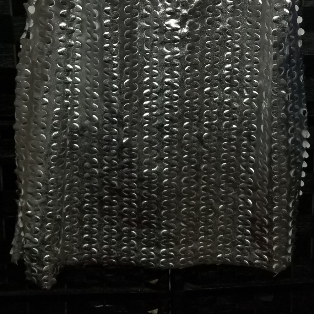 Exotic Sparkling Silver Shein Curve Size 4xl Nwot - image 2